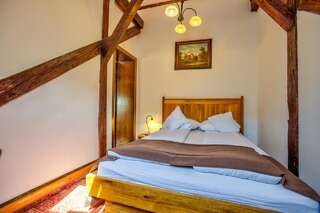 Гостевой дом Residence Ambient Брашов Двухместный номер с 1 кроватью или 2 отдельными кроватями-3