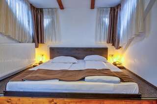 Гостевой дом Residence Ambient Брашов Люкс с 1 спальней-4